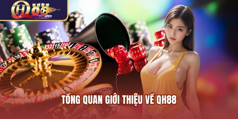 Tổng quan giới thiệu về QH88