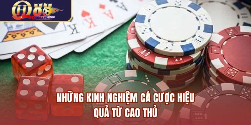Một số kinh nghiệm cá cược QH88 đến từ những cao thủ