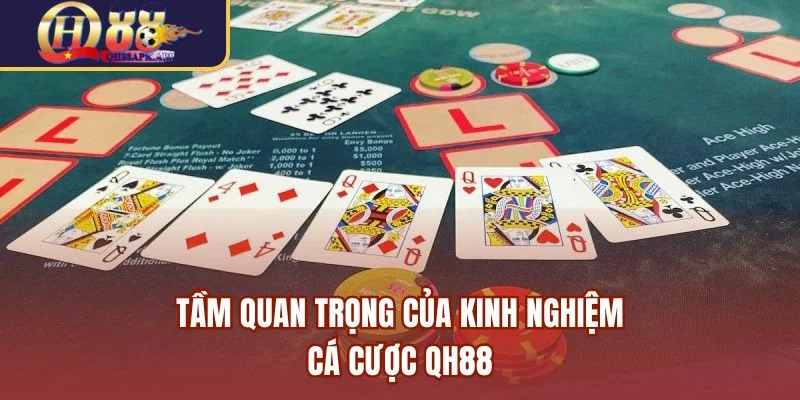 Tầm quan trọng của kinh nghiệm cá cược QH88